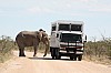 bild 21 - (c) c duecker.jpg